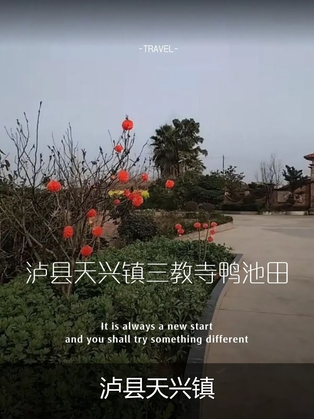 泸县天兴镇